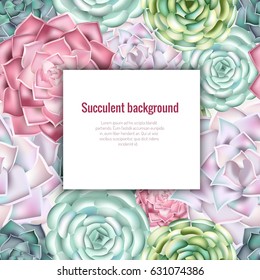 Succulent background. Vector illustration.