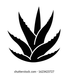 Succulent black glyph icon. Aloe vera sprouts. Cactus leafs. Growing medicinal herb. Decorative plant. Ingredient for organic cosmetic. Silhouette symbol on white space. Vector isolated illustration