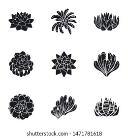 Succulent botany icon set. Simple set of 9 succulent botany vector icons for web design isolated on white background