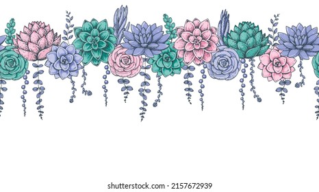 Suculentos ramos. Horizontal sin costura. Ilustración vectorial dibujada a mano. Buques florales con suculentos bordes. Ilustración para tela, tarjetas de felicitación, invitaciones de boda y otros usos.