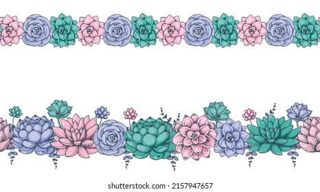 Succulent bouquets. Horizontal seamless. Hand drawn vector illustration. Floral bouquets with succulents border. Illustration for fabric, greeting cards, wedding invites and other uses.