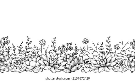 Succulent bouquets sketch, horizontal seamless. Hand drawn vector illustration. Floral bouquets with succulents border. Illustration for fabric, greeting cards, wedding invites and other uses.
