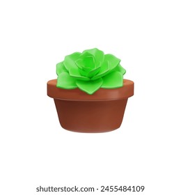 Succulent in a brown clay pot. 3D vector illustration with a green echeveria plant on a white background, ideal for plant lovers in interior decoration