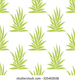Succulent bush seamless pattern on white background. Vector illustration.
