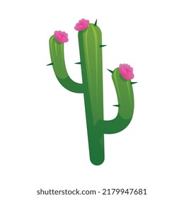 Succulent cactus with blooming pink flower, flat vector illustration isolated on white background. Cartoon spiked cactus, desert environment botanical element.