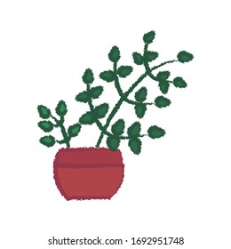 succulent and cactus in crayon illustration style