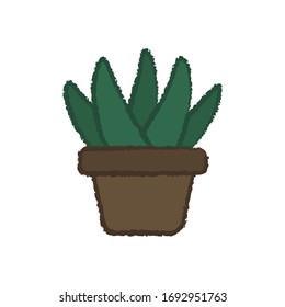 succulent and cactus in crayon illustration style