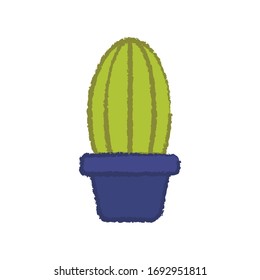 succulent and cactus in crayon illustration style