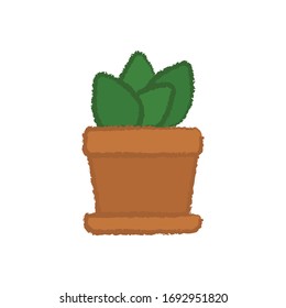 succulent and cactus in crayon illustration style