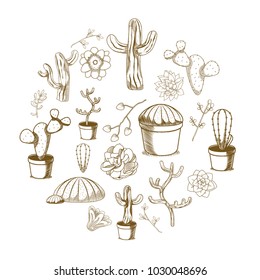 Succulent and cactus desert plants hand drawing