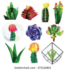 succulent cactus flower low poly colorful set with glass geometric terrariums. Vector illustration isolated on white background.