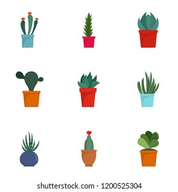 Succulent cactus icon set. Flat set of 9 succulent cactus vector icons for web design