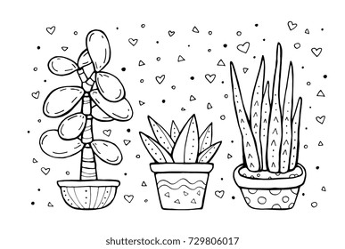 Succulent and cactus isolated. Set collection. Home plants in pots. Exotic, tropical. Vector artwork. Black and white, monochrome. Coloring book pages for adult, kids. Boho, bohemian print. Logo label