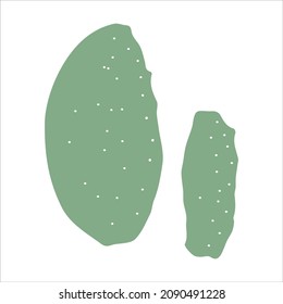 succulent cactus plant doodle hand drawn vector illustration
