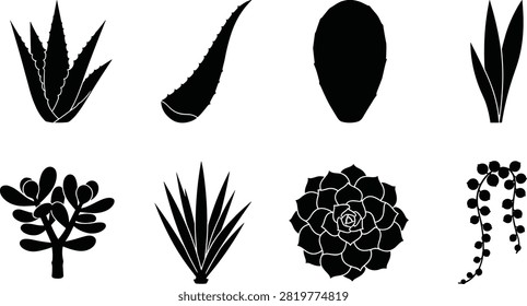 Succulent and Cactus Plant Vector Icons Set Featuring Aloe Vera Agave Echeveria and String of Pearls Silhouettes