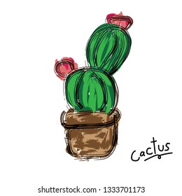 Succulent or cactus plant with vector illustration set. Cactus Collections Set.