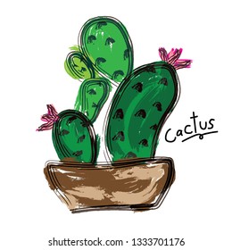 Succulent or cactus plant with vector illustration set. Cactus Collections Set.