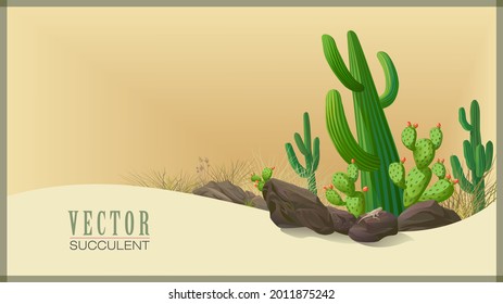 Succulent cactus plants, rocks and desert foliage.