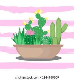 Succulent and cactus in a pot, the composition. Vector illustration.