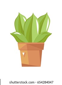 Succulent cactus in pot isolated icon. Plants indoor room, houseplant, floral interior decoration design element vector illustration.