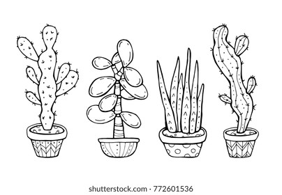 Succulent and cactus in pot isolated. Set collection. Home plants. Exotic, tropical. Vector artwork. Black and white, monochrome. Coloring book pages for adults and kids. Boho, bohemian print