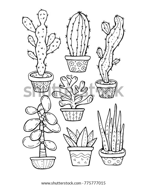 Download Succulent Cactus Pot Isolated Set Collection Stock Vector (Royalty Free) 775777015
