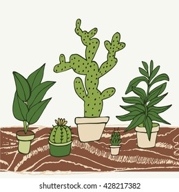 succulent cactus set