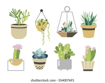 Succulent and cactus set. Collection in flat style.