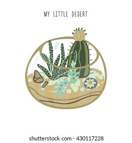 succulent cactus terrarium