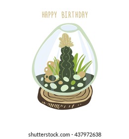 succulent cactus terrarium