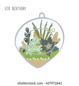 succulent cactus terrarium