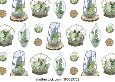 succulent and cactus terrarium pattern