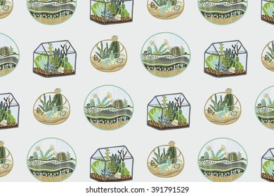 succulent and cactus terrarium pattern