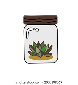 Succulent cactus tree in a glass. vector illustration.