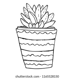  Succulent in a ceramic flower pot. Hand drawn sketch. Coloring book page
