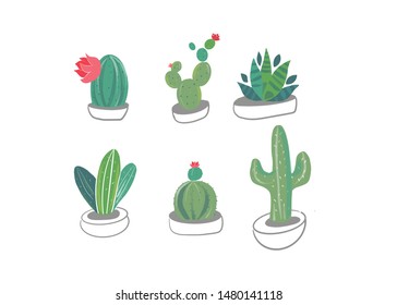 Succulent collection. Different flowers in pots isolated on white background. Vector illustration.