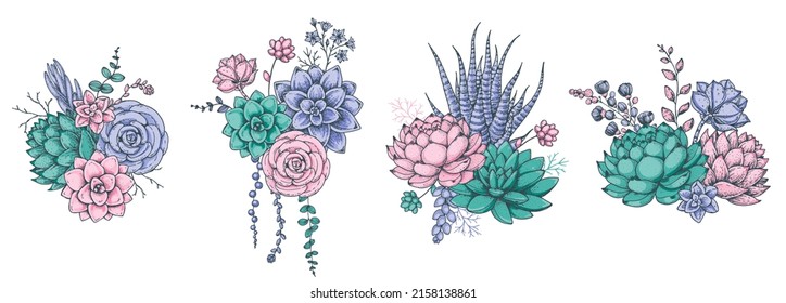 Succulent composition collection. Hand drawn vector illustration. Floral sketch. Tattoo print. Illustration for t-shirt print, fabric,greeting cards, wedding invites and other uses.