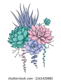 Succulent composition. Hand drawn vector illustration. Floral bouquet. Tattoo vintage print. Illustration for t-shirt print, fabric,greeting cards, wedding invites and other uses.