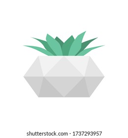 Succulent in concrete geometric pot. Vector isolated trendy flower. Home gardening