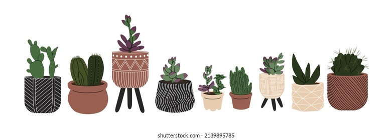 Succulent in the decorative flowerpot. Design interior by home plants. Botanical minimalism. Cartoon style. Cute plant in little pot for home or office garden. Hand drawn vector illustration. 