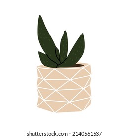 Succulent in the decorative flowerpot. Design interior by home plants. Botanical minimalism. Cartoon style. Cute plant in little pot for home or office garden. Hand drawn vector illustration. 
