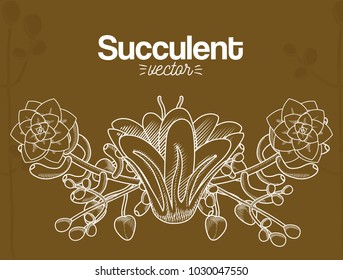 Succulent desert plants