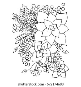 Succulent, doodle drawing