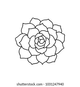 succulent doodle icon