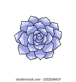 succulent doodle icon