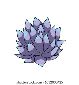 succulent doodle icon