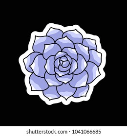 succulent doodle icon