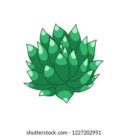 succulent doodle icon