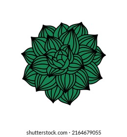 Succulent Doodle Icon, Vector Illustration