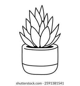 Succulent Doodle Plant in clay pot isolated on white background. Hand drawn simple vector illustration